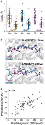 Structure Based Prediction of Neoantigen Immunogenicity